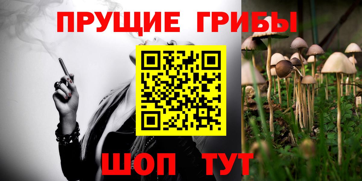Иваново  Псилоцибиновые грибы мицелий  Галлюциногенные грибы Cubensis  Вход с VPN 