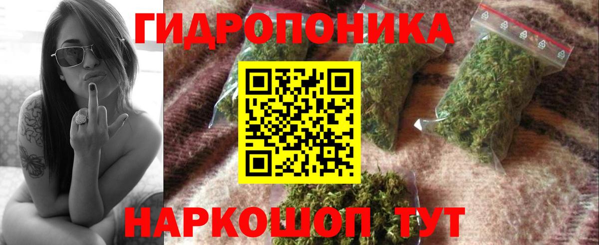 Конопля ГИДРОПОН  Шишки марихуана семена  Каннабис MAZAR  Иваново  Вход с VPN 